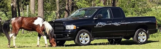 Black truck with Racer Smoke Stripe