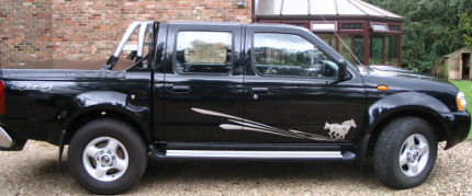 Truck with custom stripes